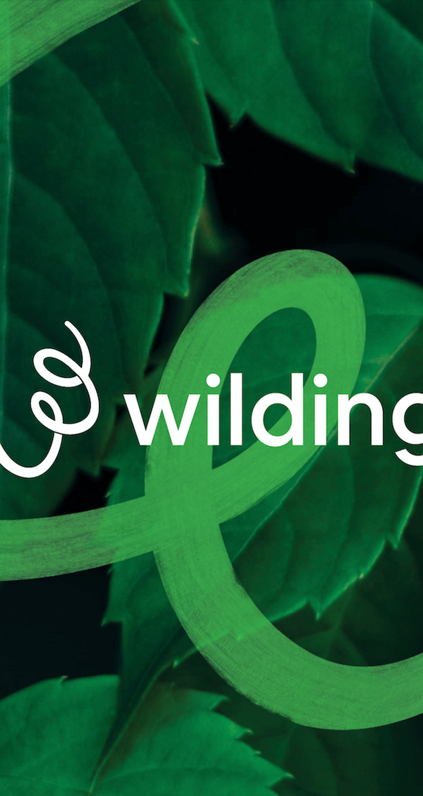 Wilding Logo