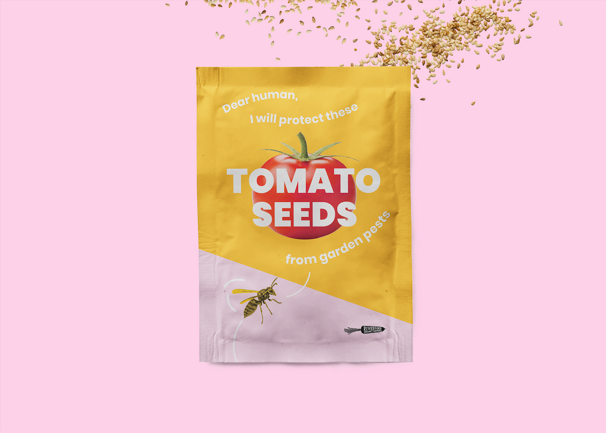 Tomato seeds