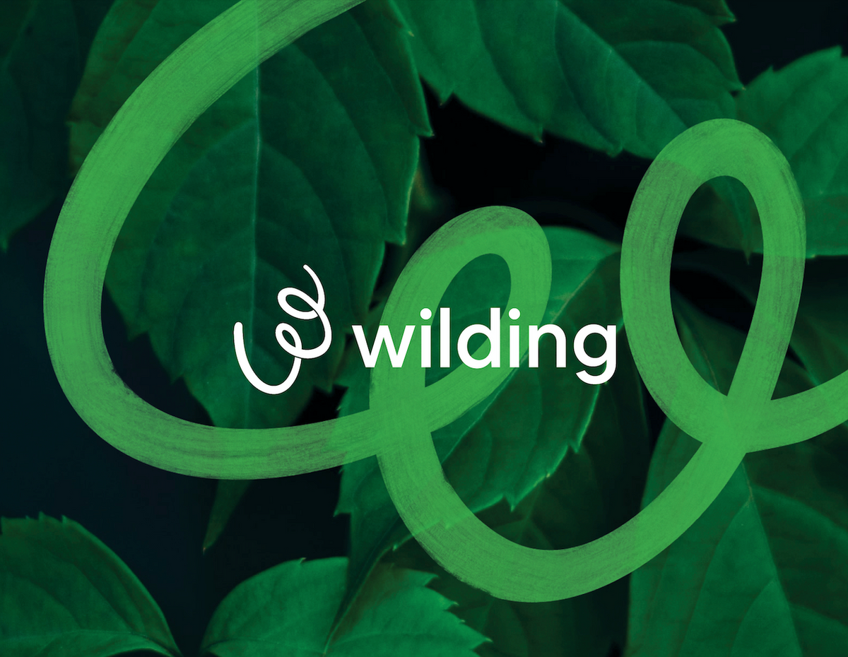 Wilding logo